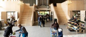Lees meer over het artikel De Ark Noord