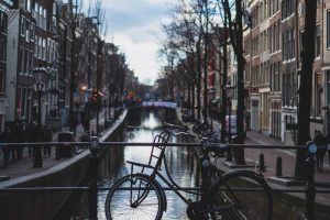 Lees meer over het artikel Programmamaker NEWConnective
