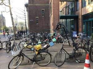 Lees meer over het artikel Muiderkerk: van stenig plein naar plek van ontmoeting, rust en verbinding