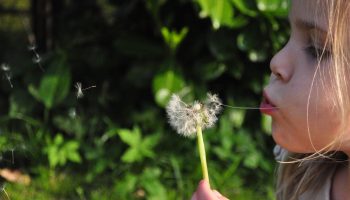 Meisje met paardenbloem