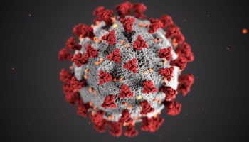 cdc-w9KEokhajKw-unsplash