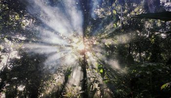 omkar-jadhav-s5xNLPMxHZU-unsplash