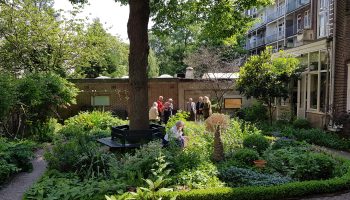 De tuin bij de Oranjekerk in Zuid, een van de stilteplekken in de stad.