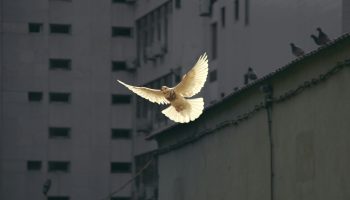 sunguk-kim-JhqBxsORuXA-unsplash